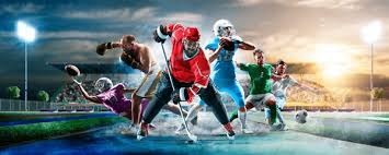 广岛三箭官方：主帅斯基伯将在赛季结束后离任